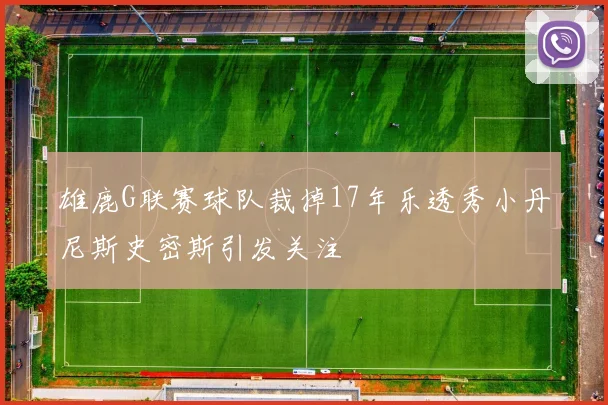 雄鹿G联赛球队裁掉17年乐透秀小丹尼斯史密斯引发关注